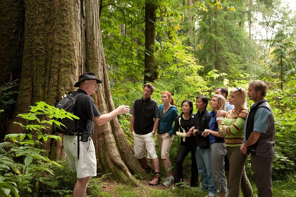 Guide walks group of people through forest